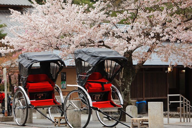 private-custom-tour-kyoto-in-one-day