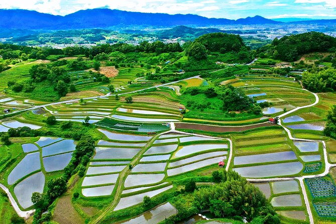 private-cycling-tour-and-coffee-experience-in-asuka-village