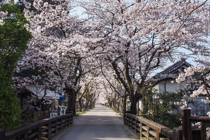 private-day-trip-to-kumamoto-asakura-from-fukuoka-with-minibus