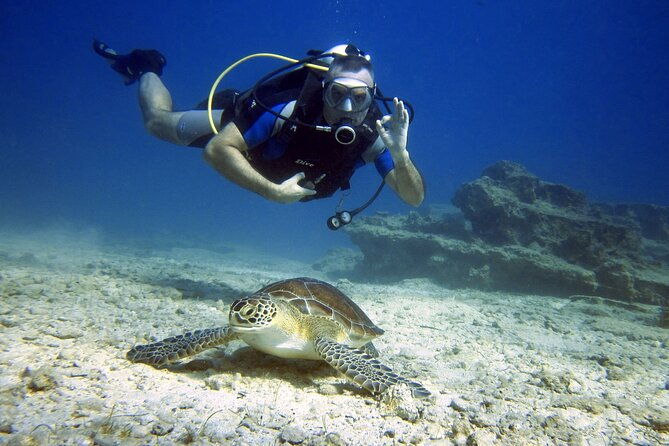 private-discovery-dive-photos-videos