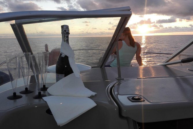private-dolphin-and-whale-watching-tour-in-madeira