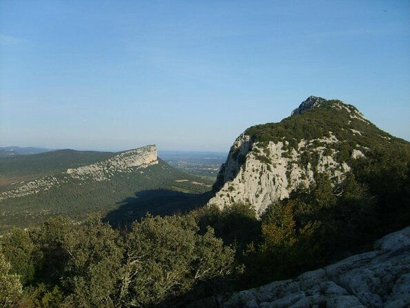 private-full-day-pic-saint-loup-wine-and-olive-tour-with-lunch-from-montpellier