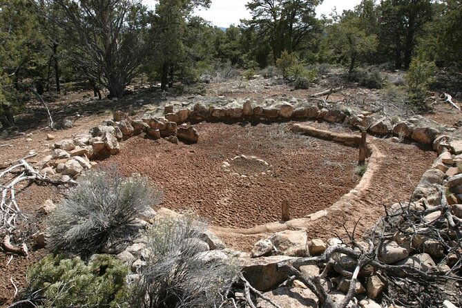 private-grand-canyon-sightseeing-tour-from-williams-tusayan-gcv