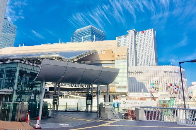 private-guided-day-tour-of-the-modern-city-of-osaka