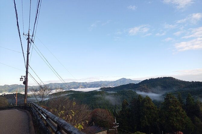 private-guided-half-day-walking-tour-in-yoshinoyama