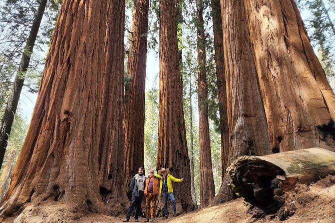private-guided-hiking-tour-sequoia-national-park