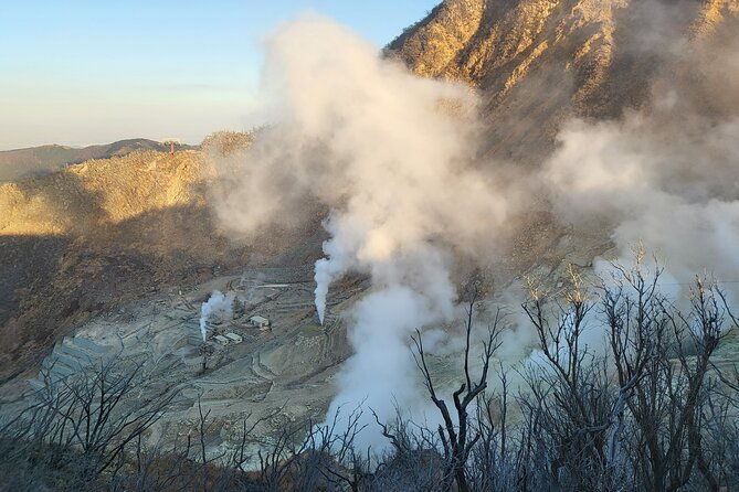 private-hakone-tour-from-tokyo
