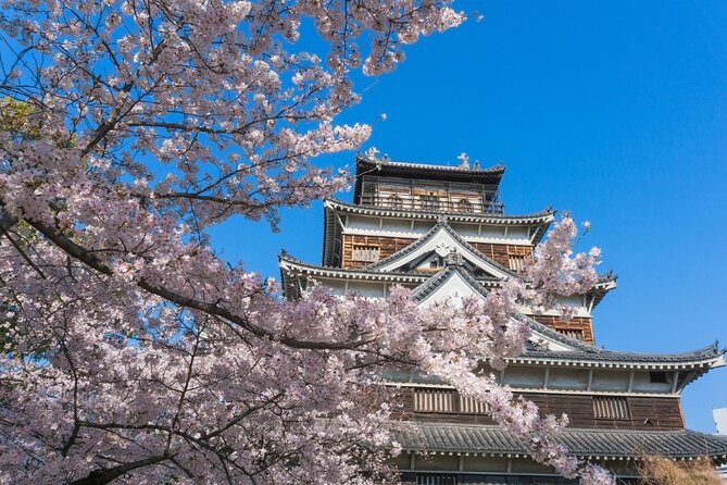 private-hiroshima-cherry-blossom-and-sakura-experience