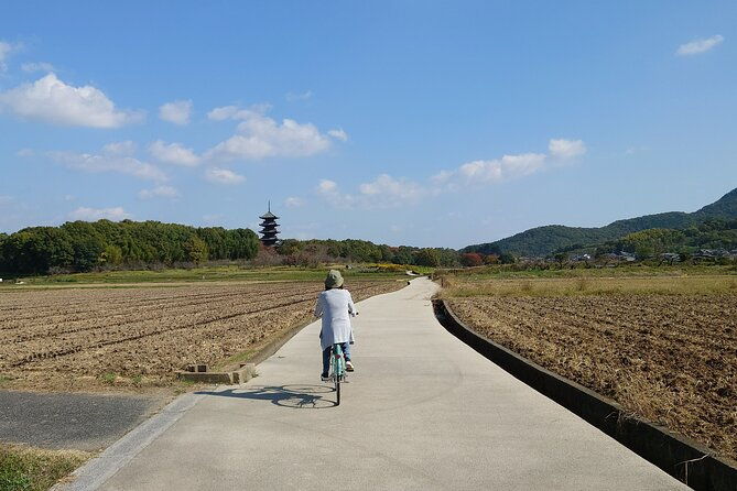 private-kibi-cycling-local-ramen-tour-with-a-licensed-guide
