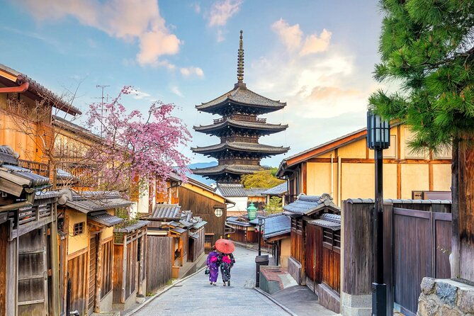 private-kyoto-customizable-day-tour-with-guide-luxury-vehicle