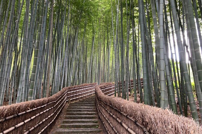 private-kyoto-with-exceptional-guide-tailored-to-your-needs