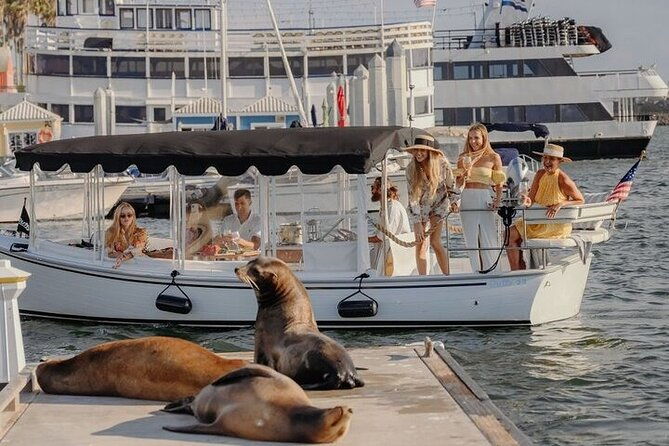 private-luxury-e-boat-cruise-with-wine-charcuterie-sea-lions-spotting