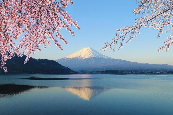 private-mount-fuji-and-hakone-sightseeing-day-trip-with-guide