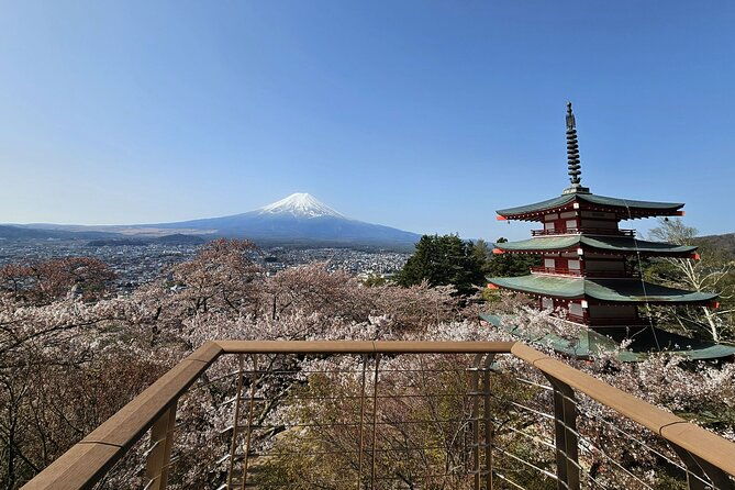 private-mount-fuji-day-trip-from-tokyo-by-car