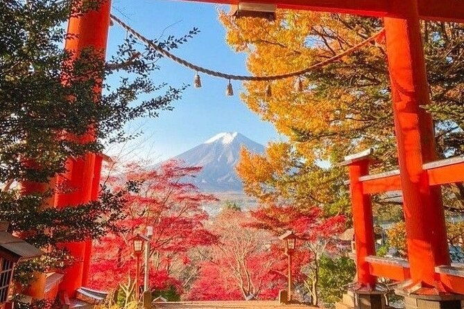 private-mount-fuji-sightseeing-day-trip-with-guide