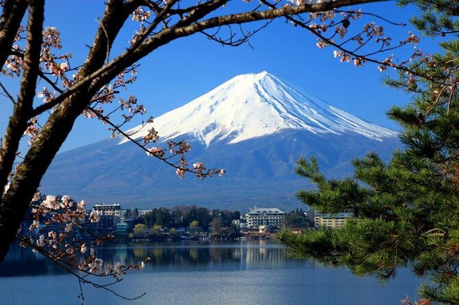 private-mt-fuji-hakone-and-tokyo-tour-english-speaking-driver