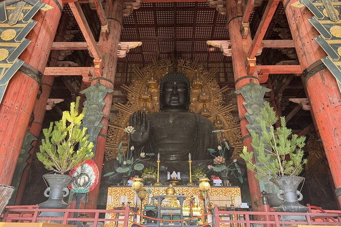private-nara-tour-and-sake-tasting-departing-from-kyoto-nara