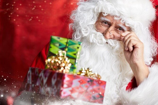 private-santa-claus-village-rovaniemi-city-tour