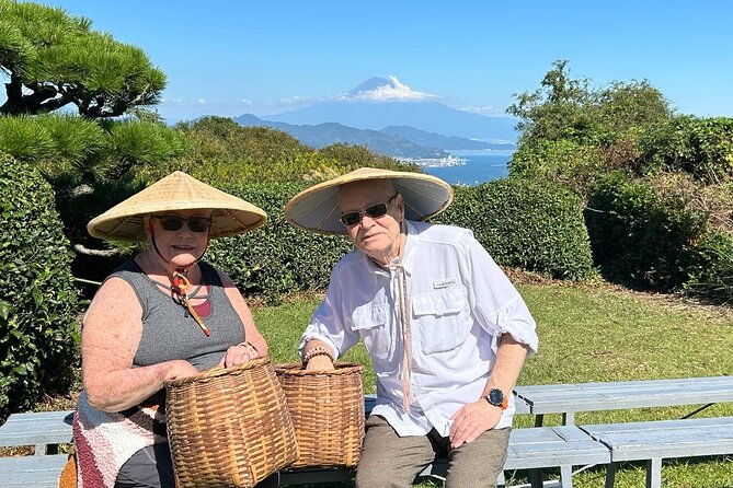 private-shizuoka-tour-from-shizuoka-station-sedan-taxi