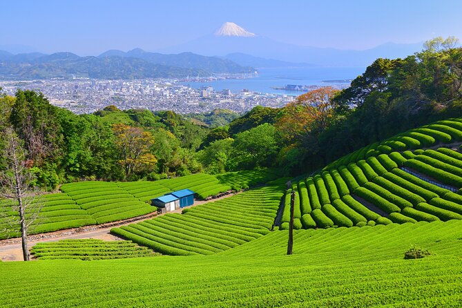 private-shizuoka-tour-from-shizuoka-station-van-taxi