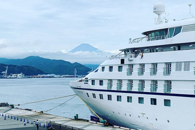 private-sightseeing-tour-from-shimizu-port-sedan-taxi