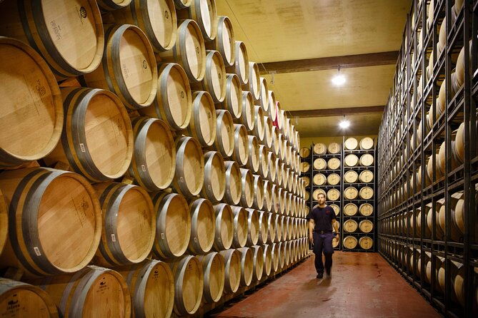 private-tour-bilbao-to-la-rioja-a-day-of-winery-tours-and-tasting