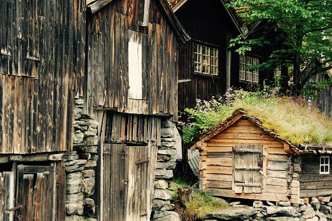 private-tour-from-alesund-to-geiranger-up-to-15-people