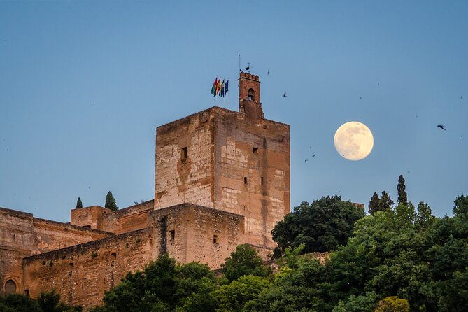 private-tour-of-the-alhambra-entrances-included