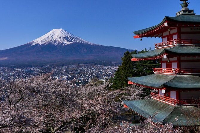 private-tour-to-mount-fuji-with-an-english-driver-from-tokyo