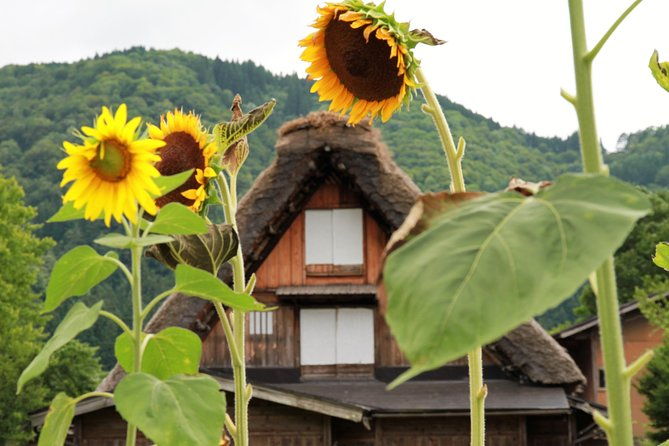private-transfer-kanazawa-to-takayama-including-shirakawago