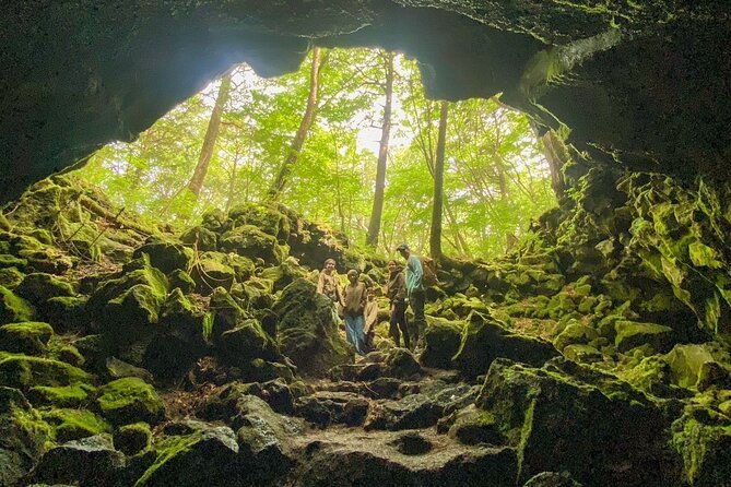 private-trekking-tour-at-the-foot-of-mount-fuji