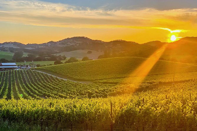 private-wine-country-tour-including-photography-services