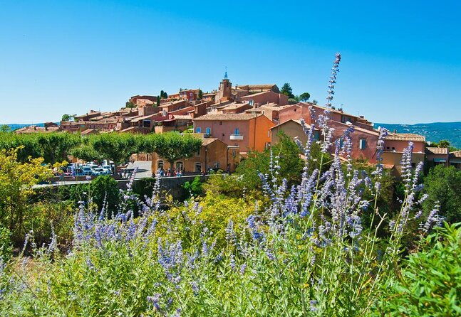 provence-lavender-full-day-tour-from-avignon