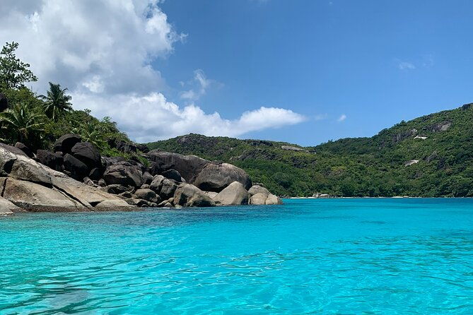 reef-safari-snorkeling-fish-feeding-lunch-shared-day-trip