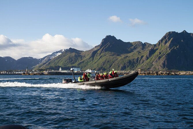 rib-sea-eagle-safari-trollfjord-cruise
