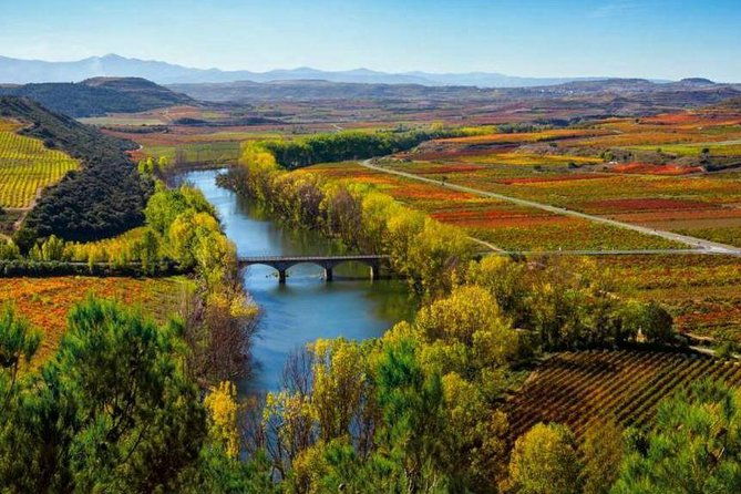 rioja-alta-and-rioja-alavesa-wine-tour