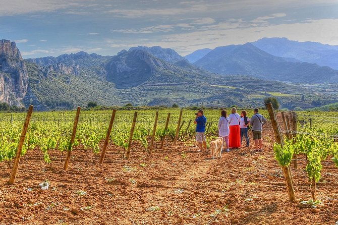 rioja-like-a-native-wine-tour