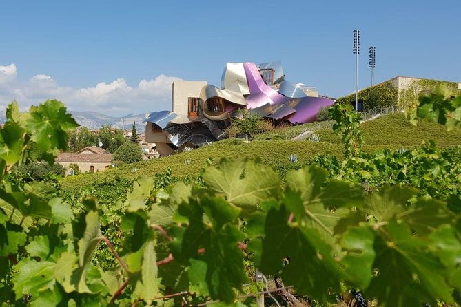 rioja-wine-tour-2-wineries-from-pamplona