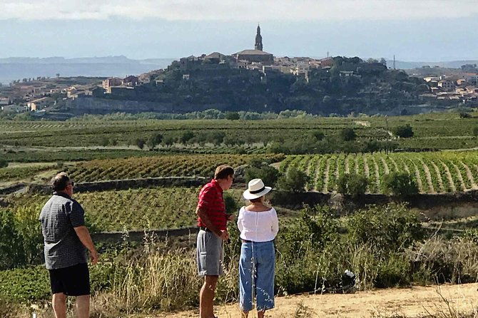 rioja-wineries-and-laguardia-tour-with-picnic-from-san-sebastian