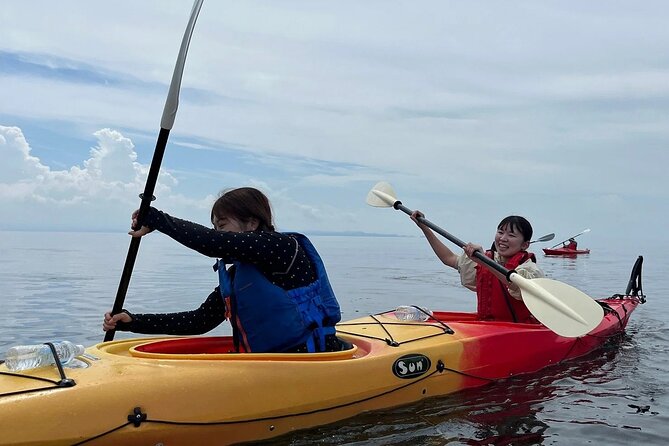 river-to-sea-mutsu-bay-kayak-experience