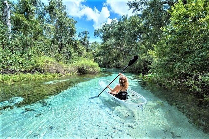 rock-springs-2-hour-glass-bottom-guided-kayak-eco-tour