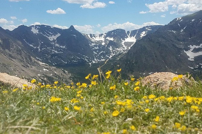 rocky-mountain-national-park-in-summer-tour-from-denver
