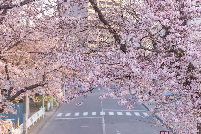 romantic-tour-in-saitama