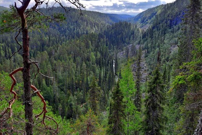 rovaniemi-korouoma-canyon-waterfalls-tour-with-bbq