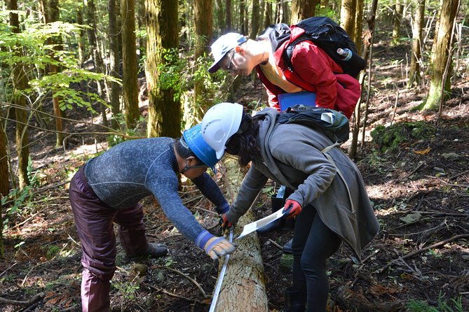 rural-forestry-tour-in-aso-minamioguni