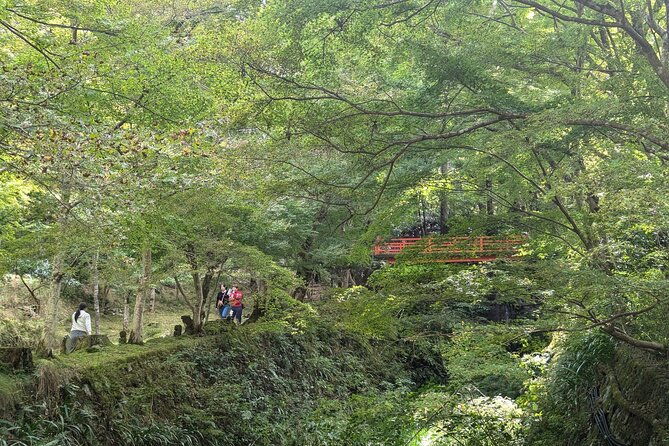 rural-kyoto-one-day-tour-of-a-tranquil-landscape-in-ohara