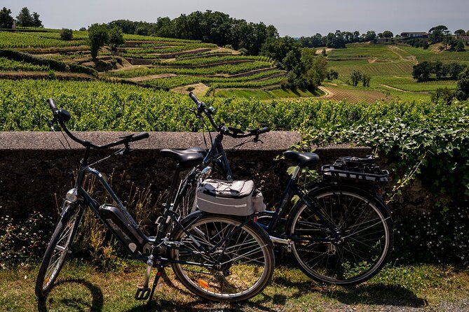 saint-emilion-wine-tour-by-electric-bike-lunch-included