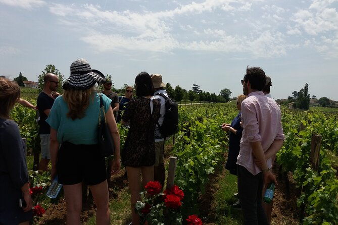saint-emilion-wine-tour-half-day