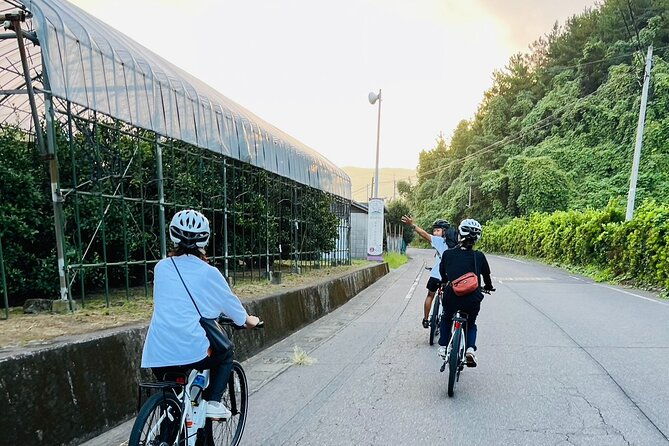 sakurajima-sunrise-e-bike-tour