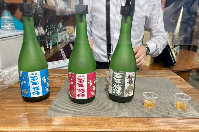 samurai-private-tour-with-umeshu-tasting-in-mito